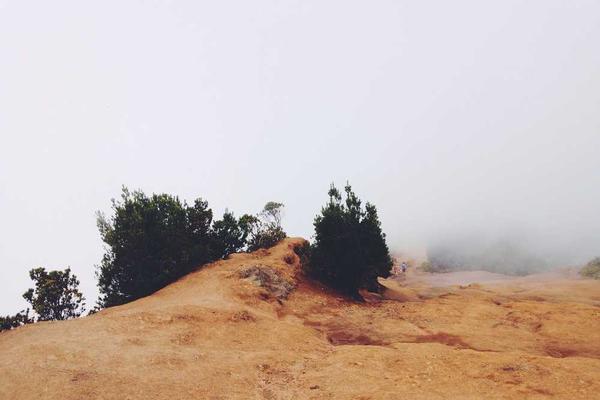 WIRED Roundup: DOGE Isn’t Dead, Facebook Dating Is Real, and Amazon’s AI Ambitions